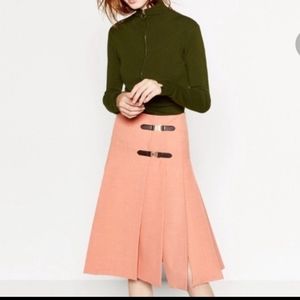 Zara Box Pleat Skirt
